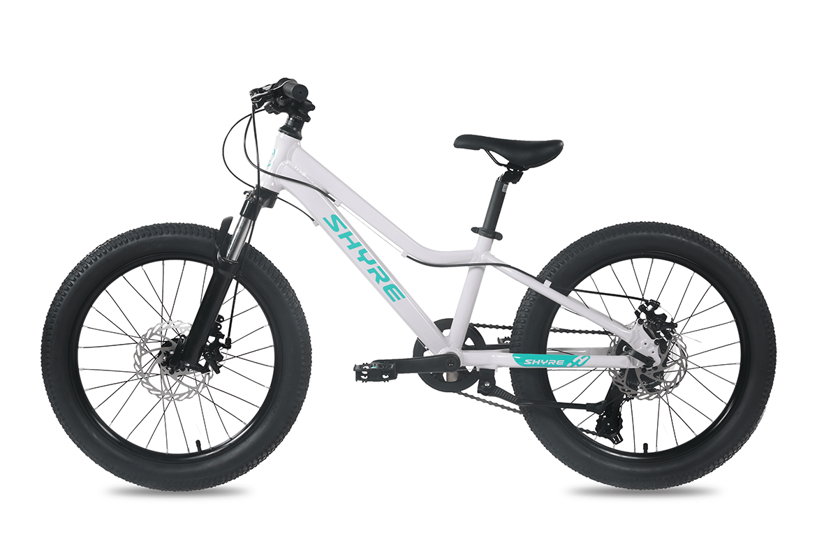 Shyre Eastie 20" Wheels Kids Trail Bike Shyre Eastie 20" Wheels Kids Trail Bike