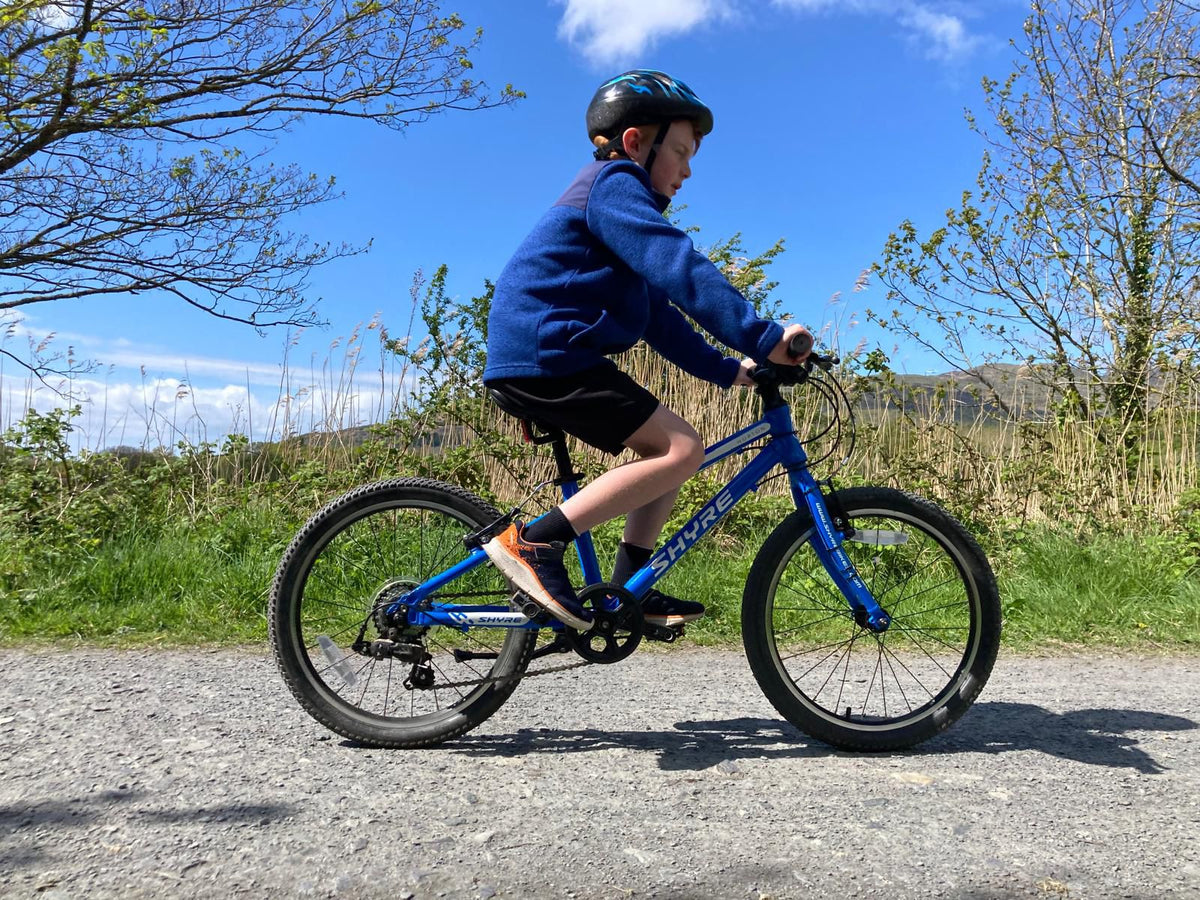Family Cycling at Cannock Chase: Traffic-Free Forest Trails