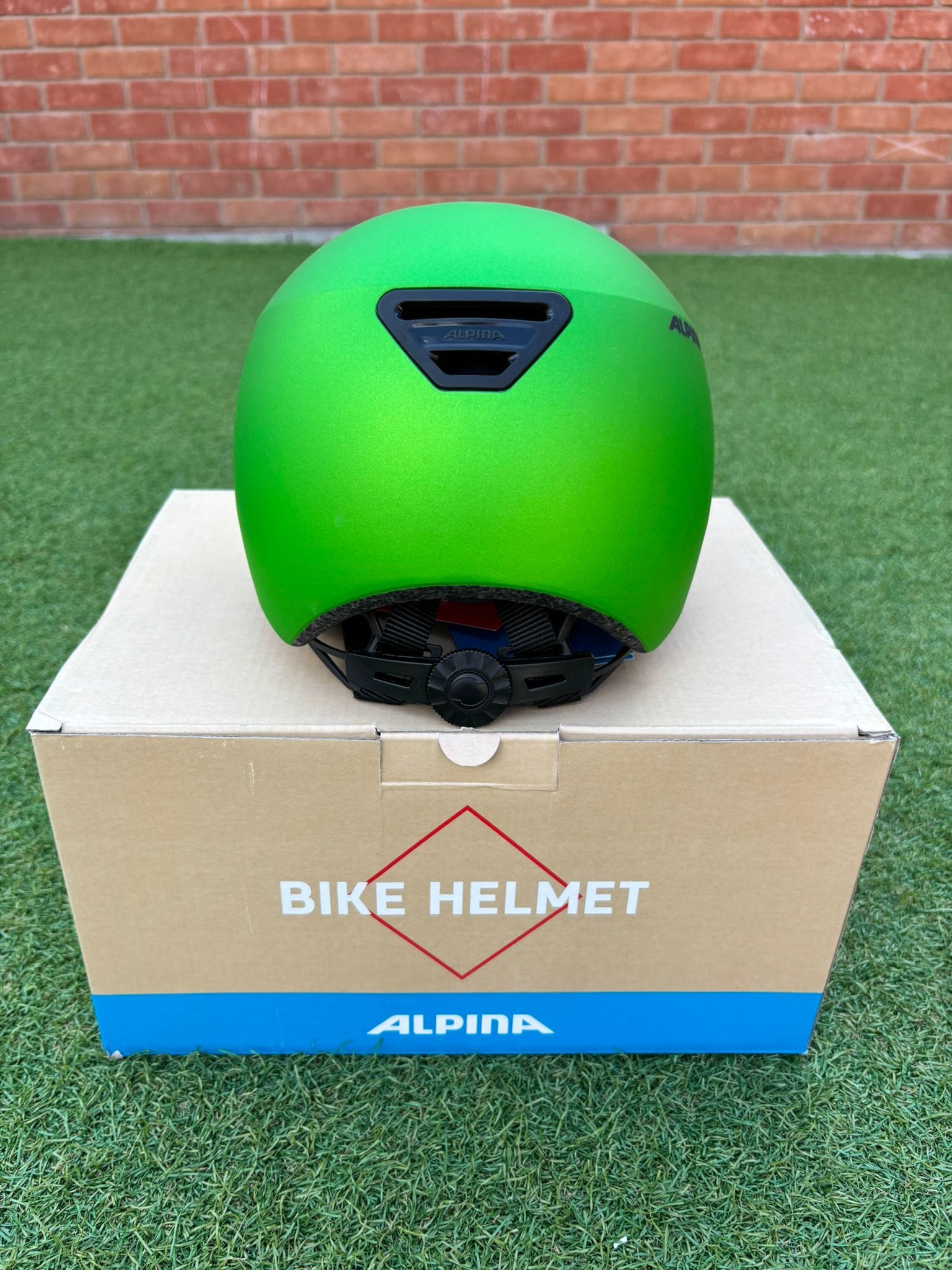 Alpina Hackney Junior Helmet Green Frog 47 - 51cm
