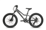 Shyre Eastie 20" Wheels Kids Trail Bike