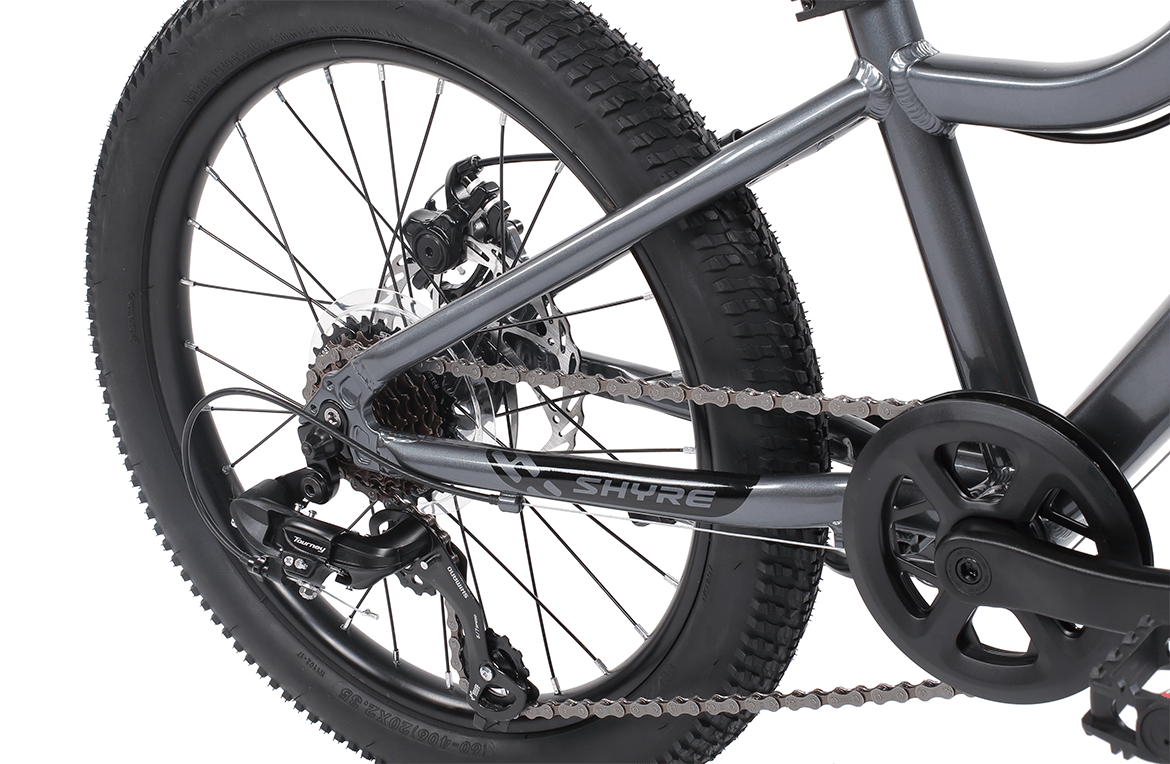 Shyre Eastie 20" Wheels Kids Trail Bike