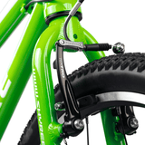 Shyre Hopton 16" Wheels Kids Bike - Green