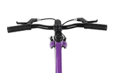 Shyre Hopton 16" Wheels Kids Hybrid Bike