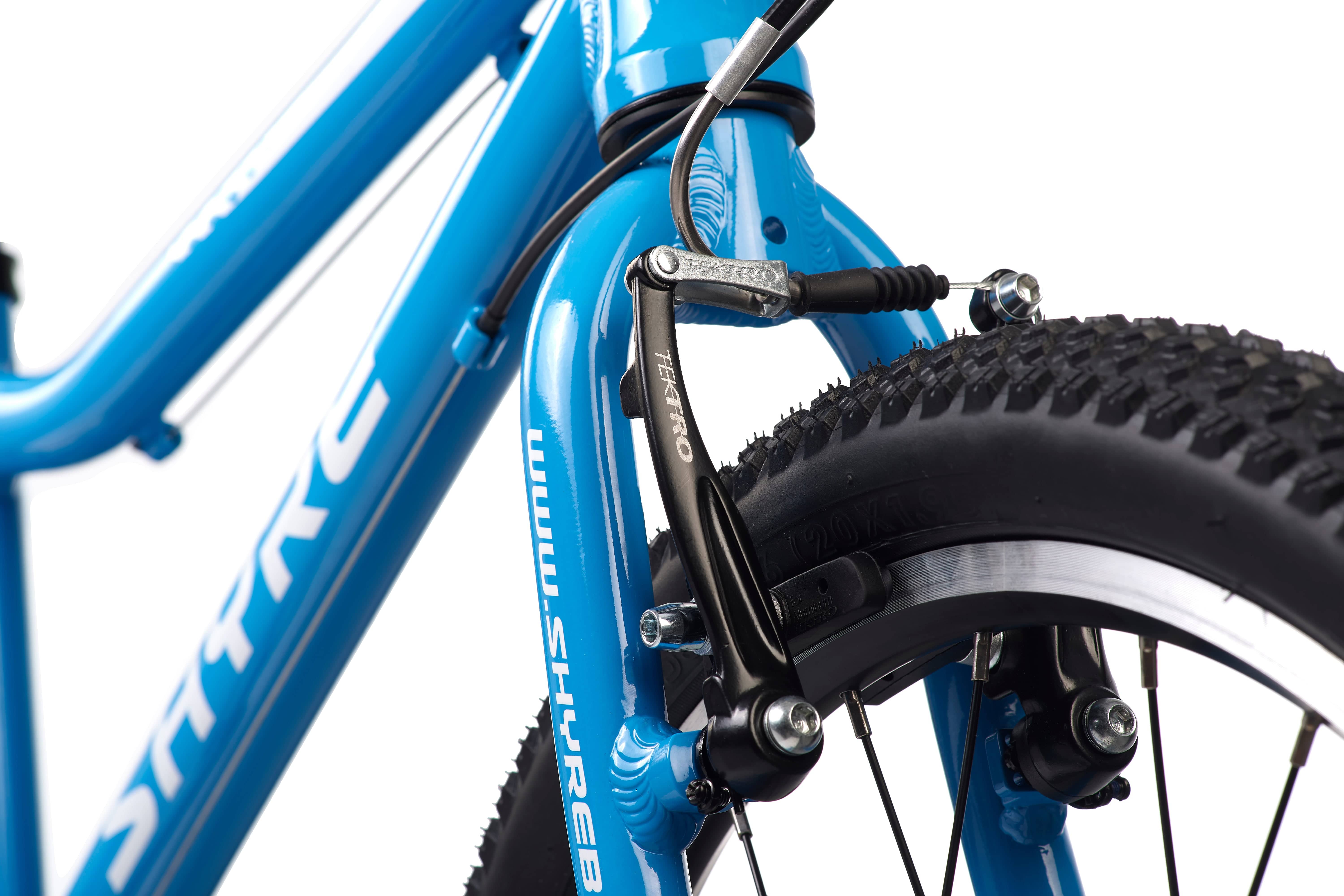 Shyre Hopton 20" Wheels Kids Bike - Blue