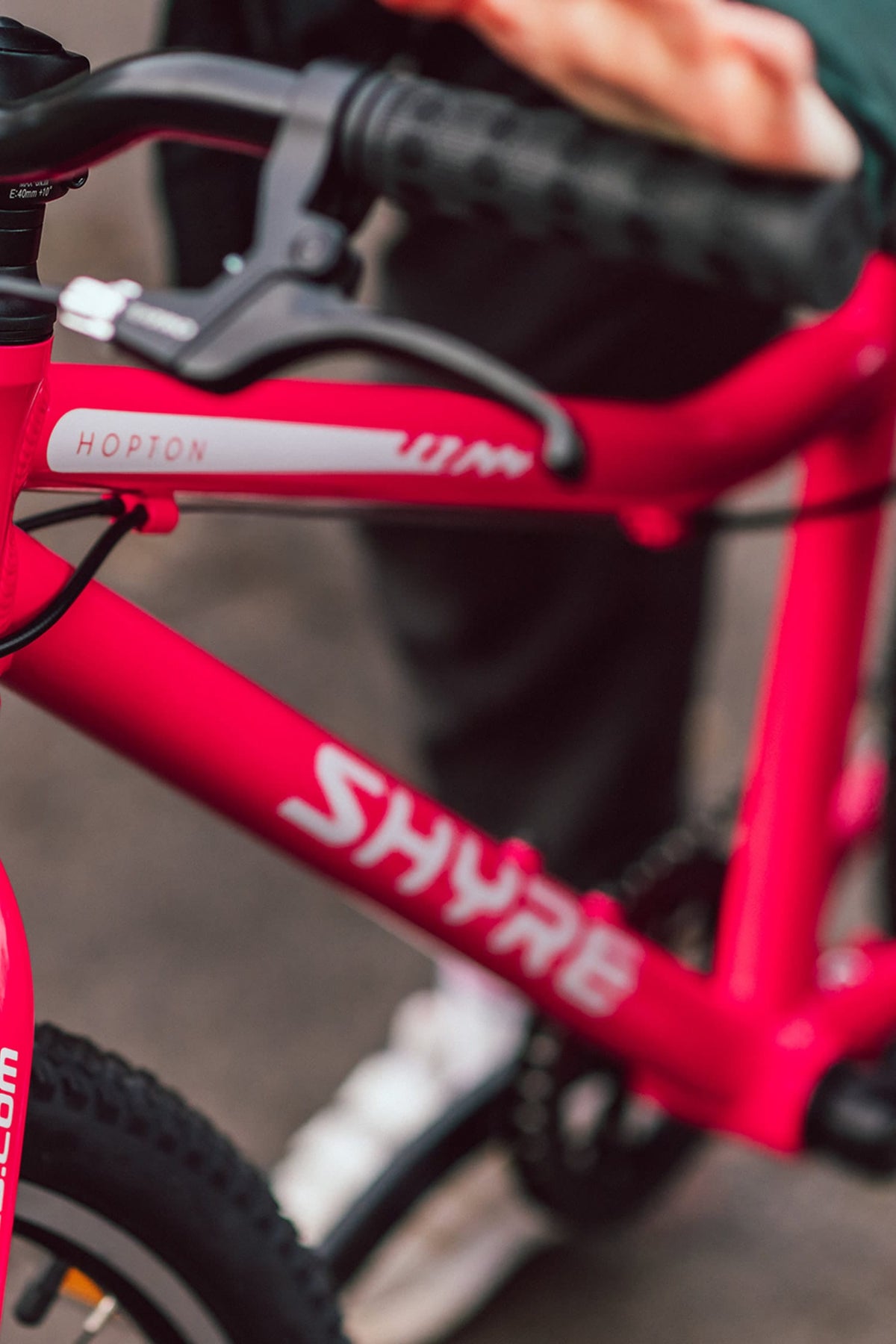 10-YEAR FRAME WARRANTY